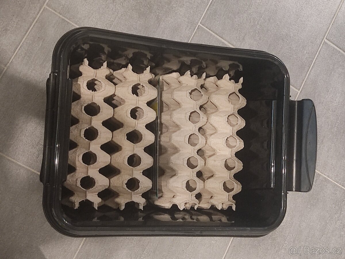 Bedna na kolonii - chov švábů (Box na šváby)