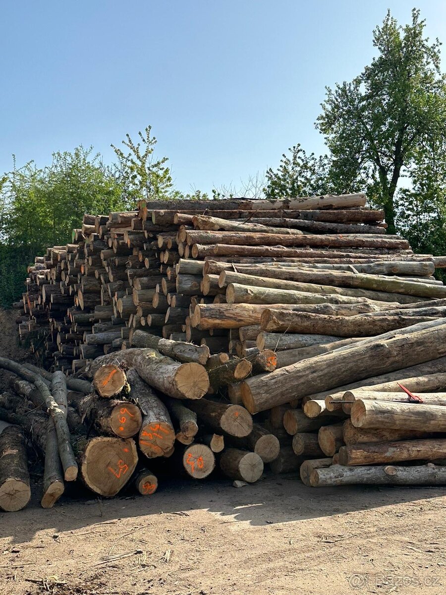 Kulatiny palivové dřevo