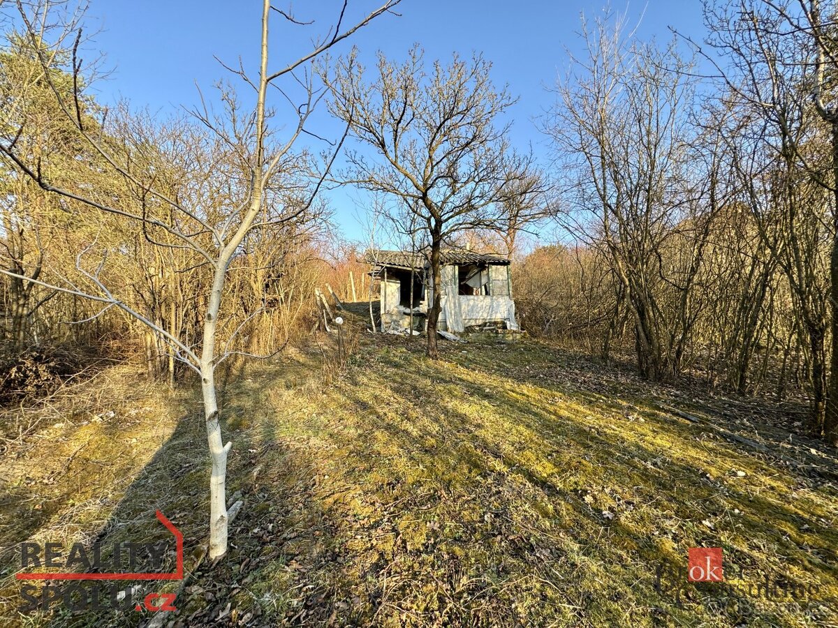 Prodej, domy/chata, 21 m2, Brněnské Ivanovice E136, 62000 Br
