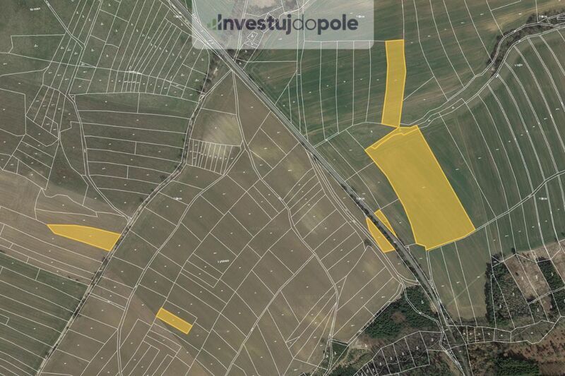 Prodej pole v k.ú. Brzotice a Dolní Kralovice