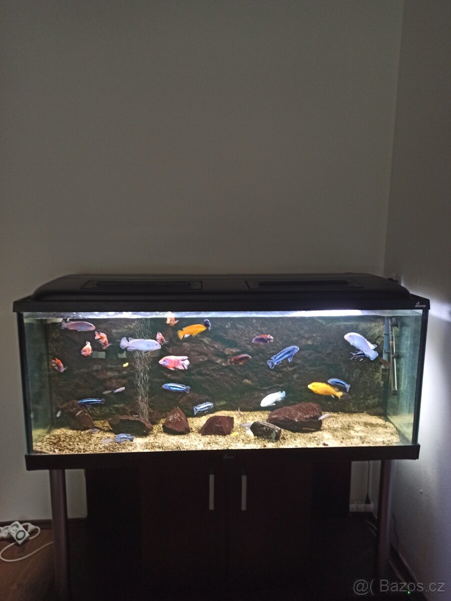 Akvárium Diversa 450 L Malawi