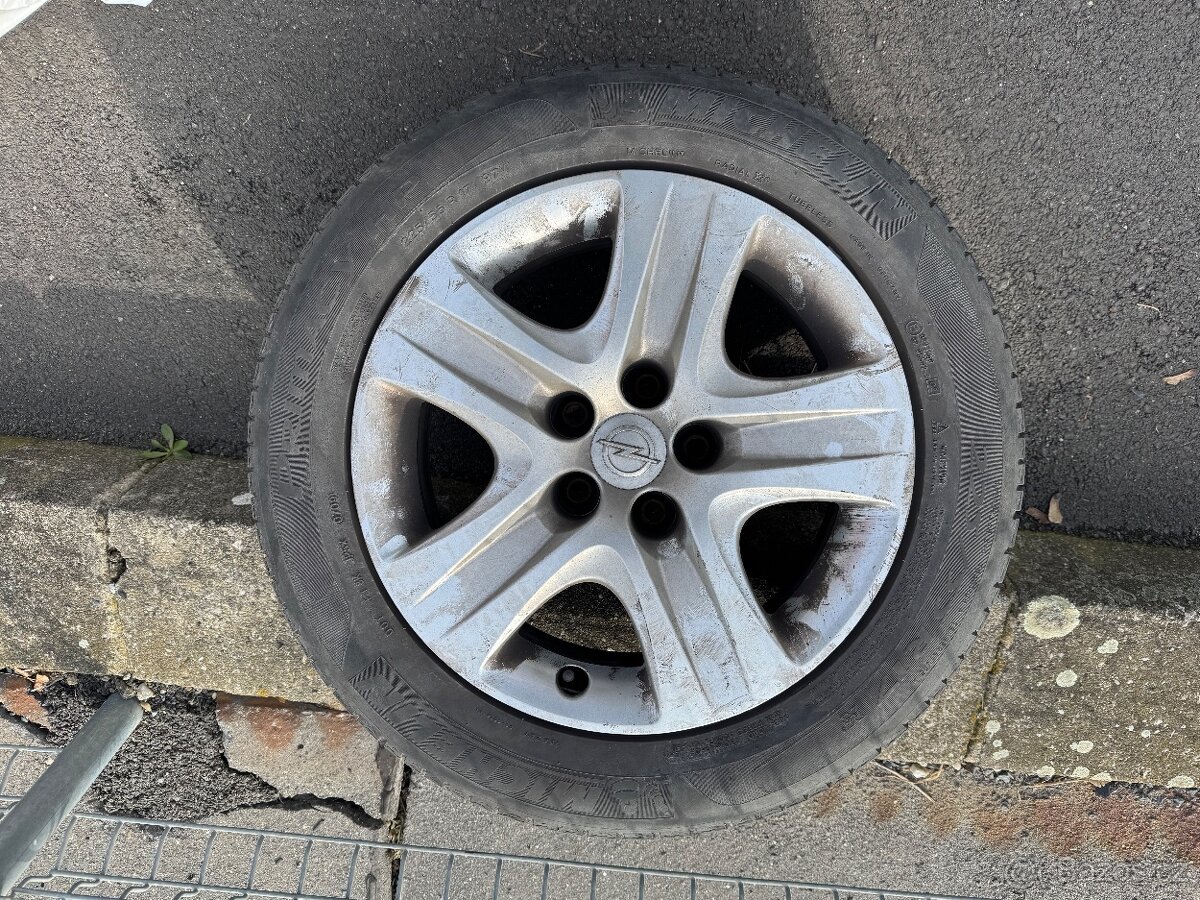 Plecháče /poklice