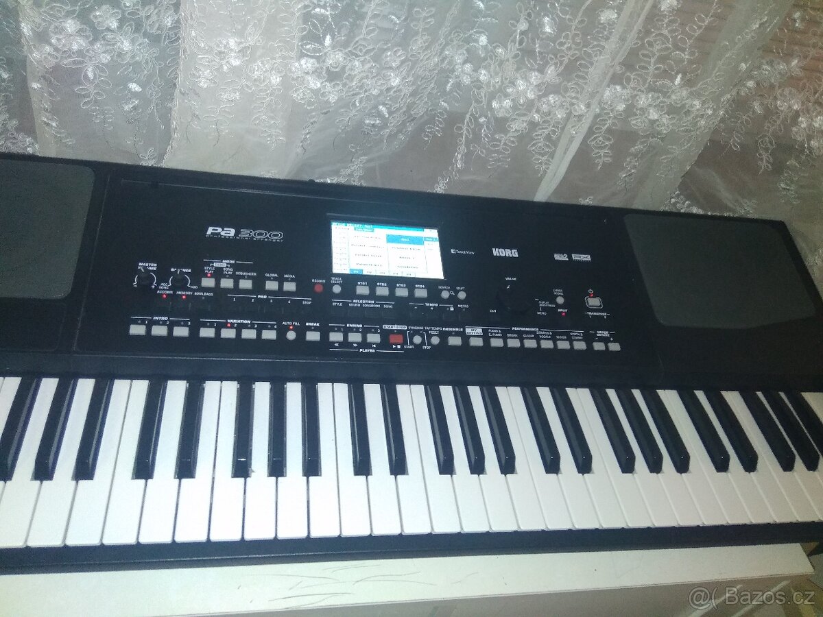 Korg pa 300