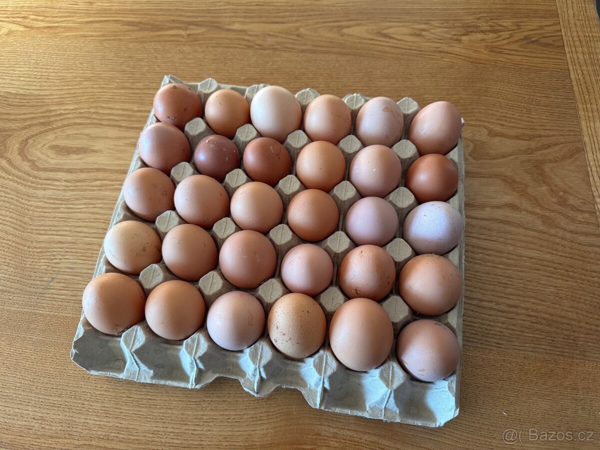 Domácí vajíčka
