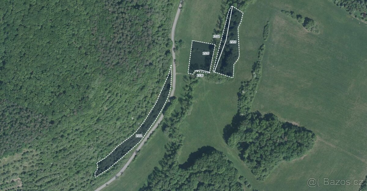 Les, prodej, Přečkovice, Bojkovice, Uherské Hradiště