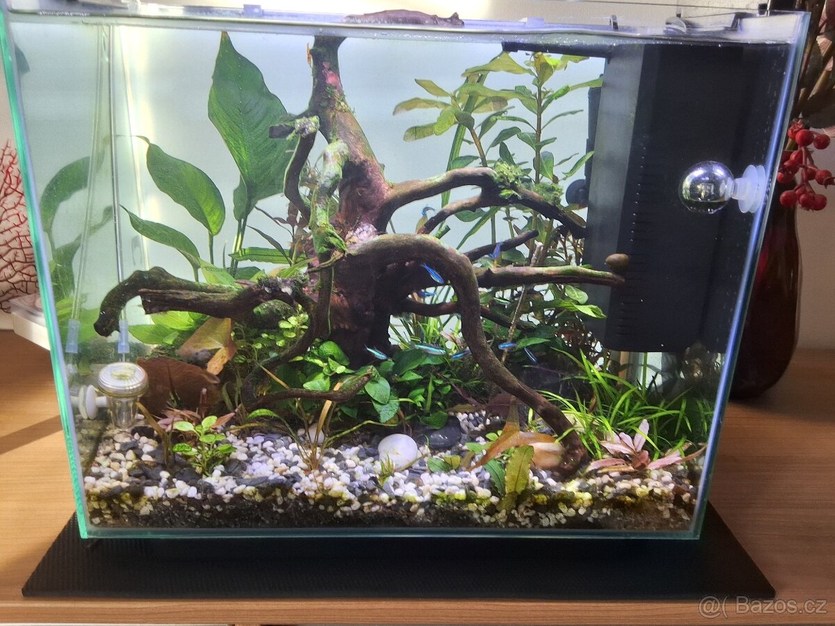 Prodám kompletní moderní set akvarium.