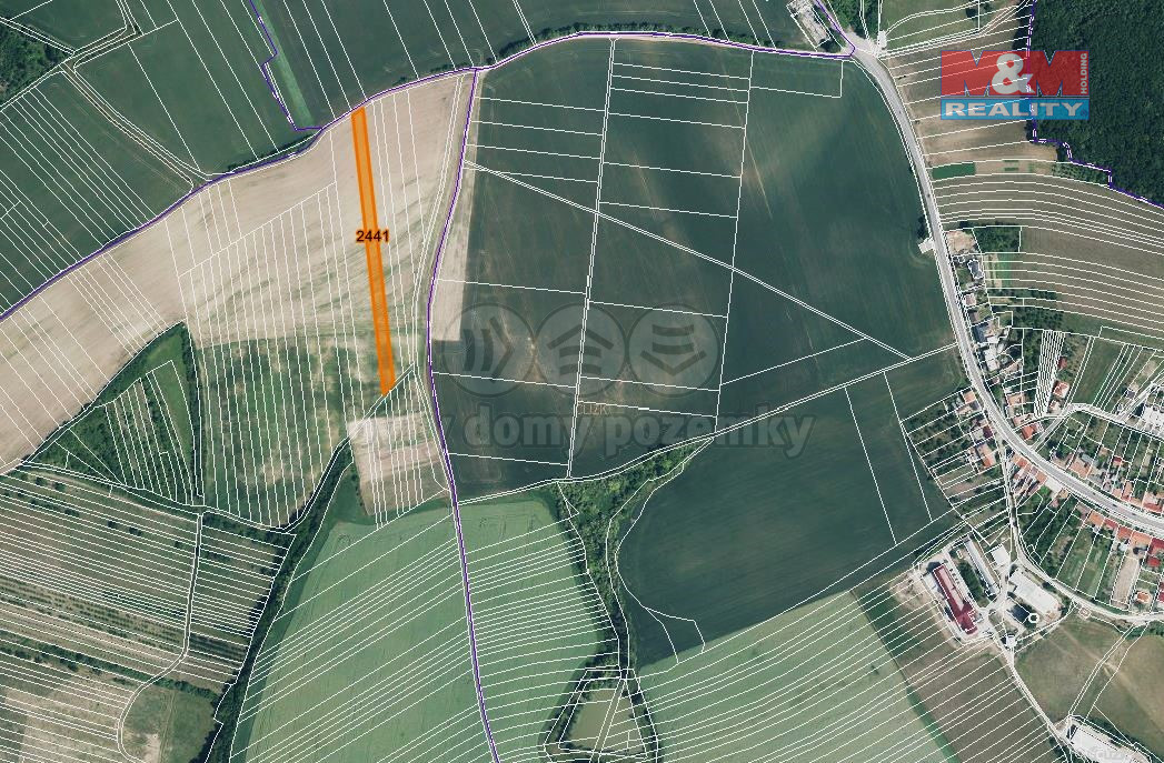 Prodej pole, 719 m², Stavěšice