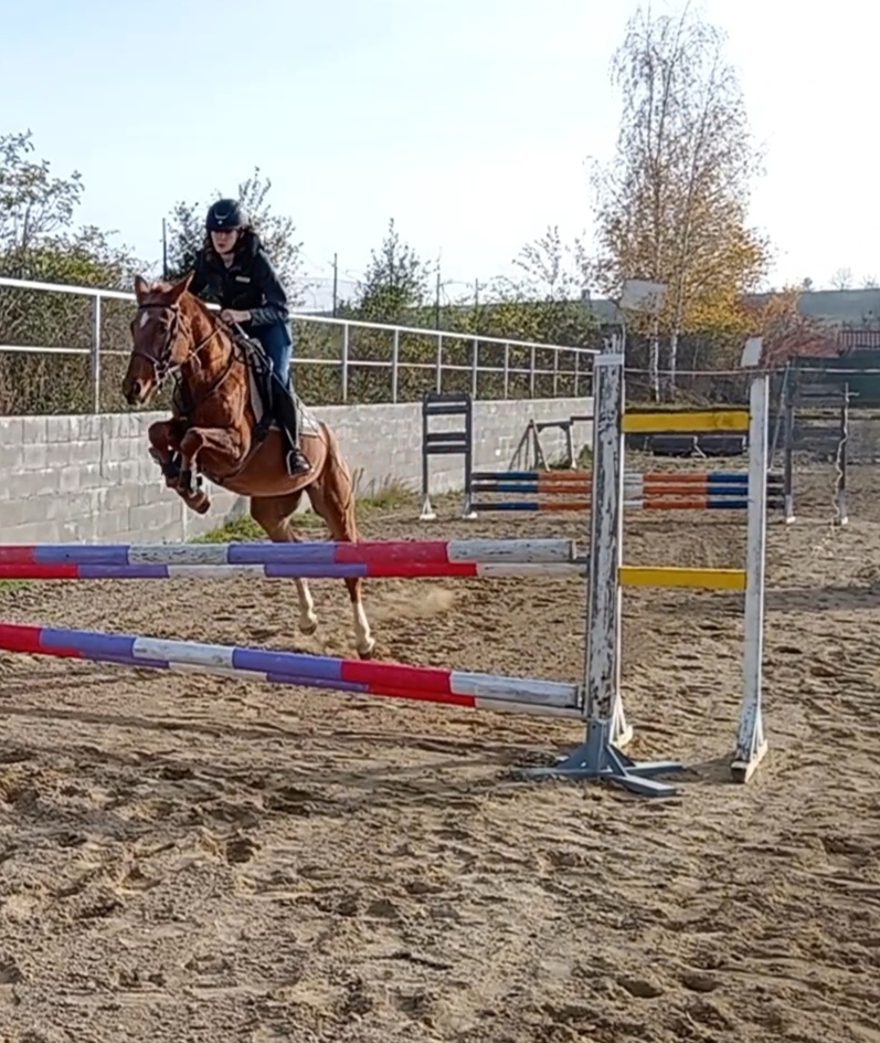 ryzka