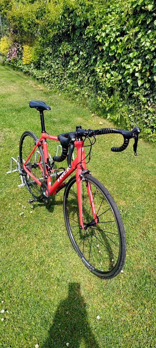 Trek Ěmonda ALR 4