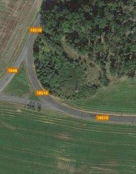 Prodám lesní pozemek - Poleň