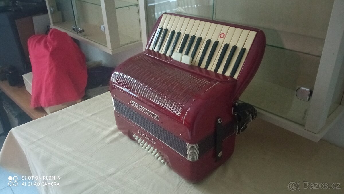 Akordeon, harmonika