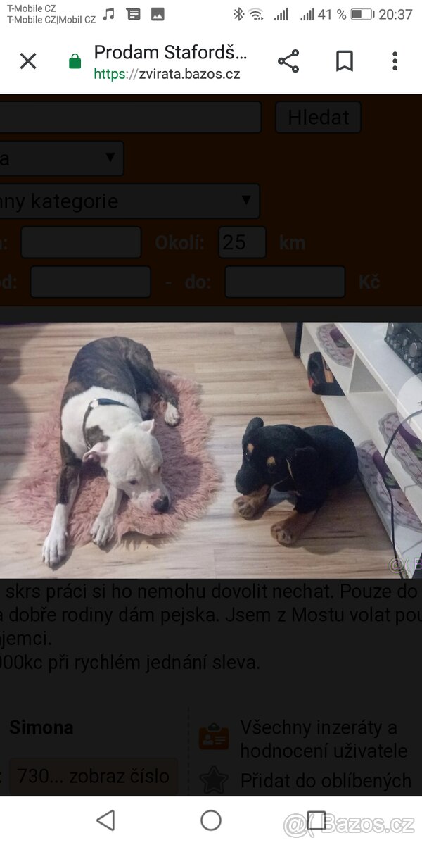 Prodám 17mesicni štěně staforda
