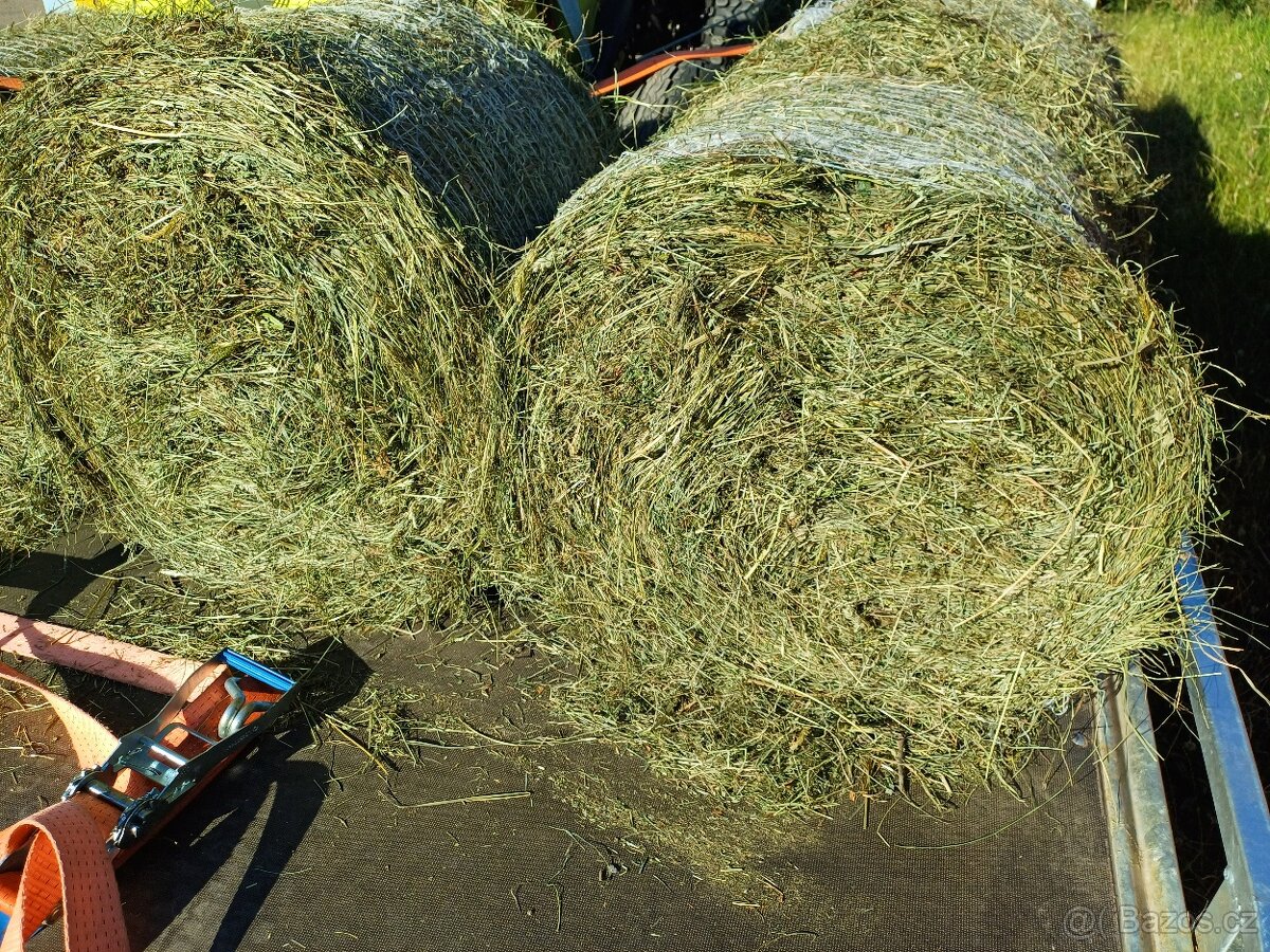 Seno, letošní otavu, malé balíky vázané v síti