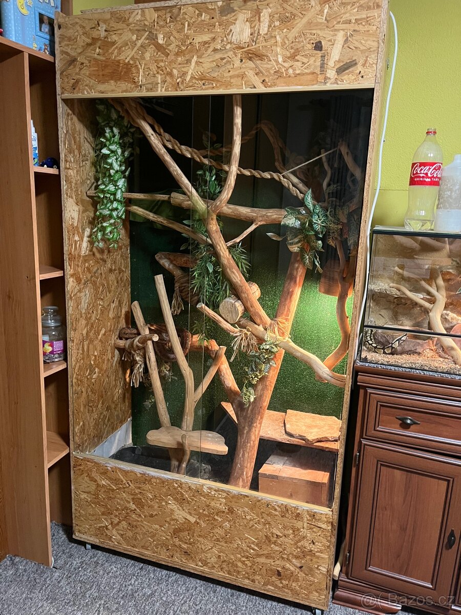 Terarium
