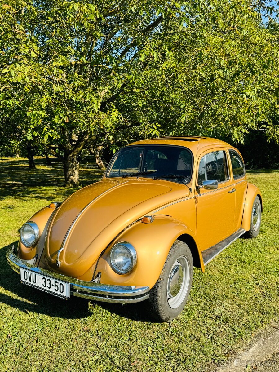 VW Brouk