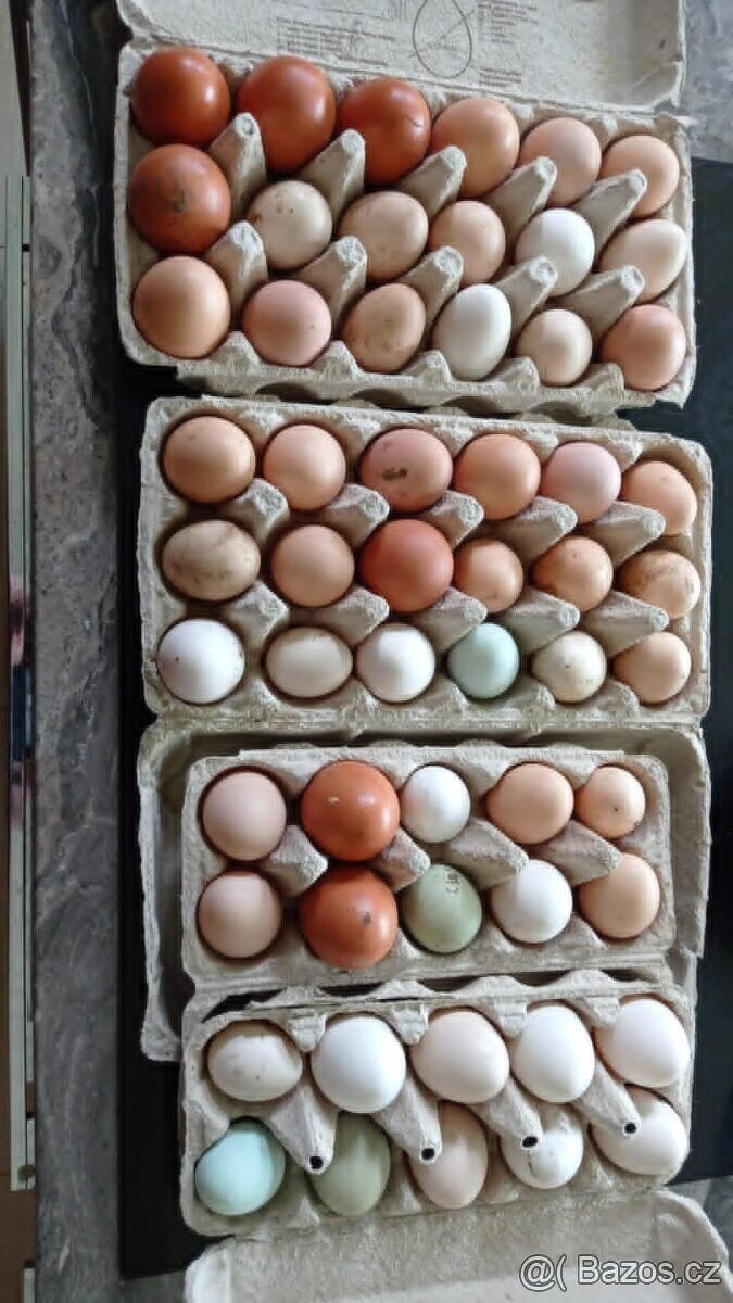 Domácí vajíčka