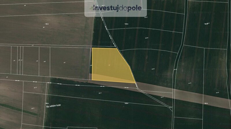 Prodej pole v k.ú. Neuměřice