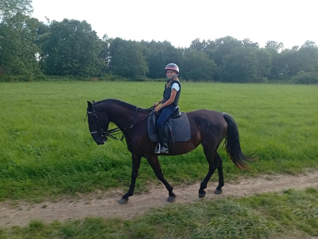 Kladrubska klisna 4 roky
