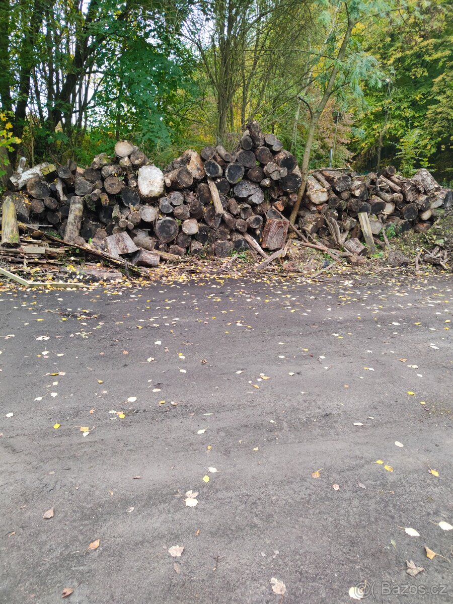 Palivové dřevo