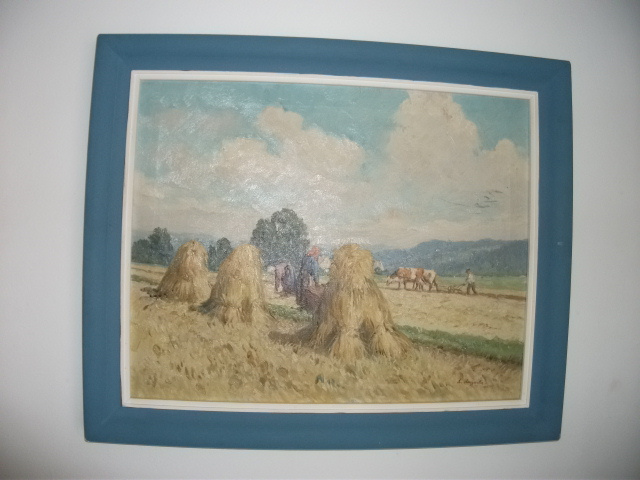 A.AUGUSTA olejomalba