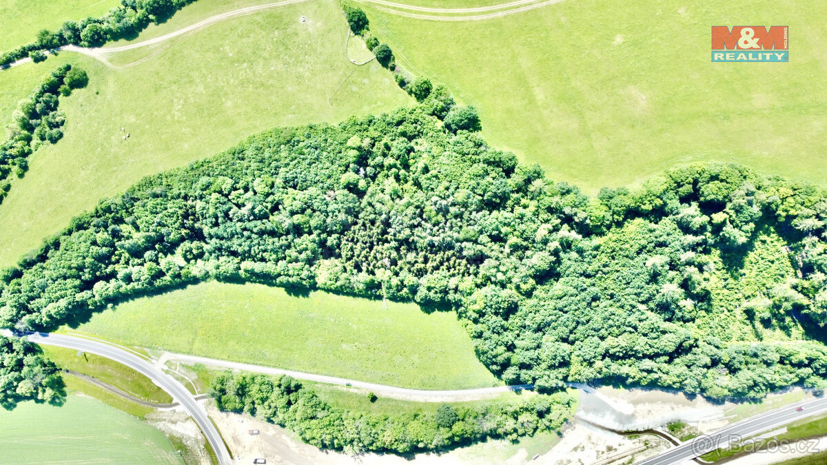 Prodej lesa, 12990 m², Vyšehoří