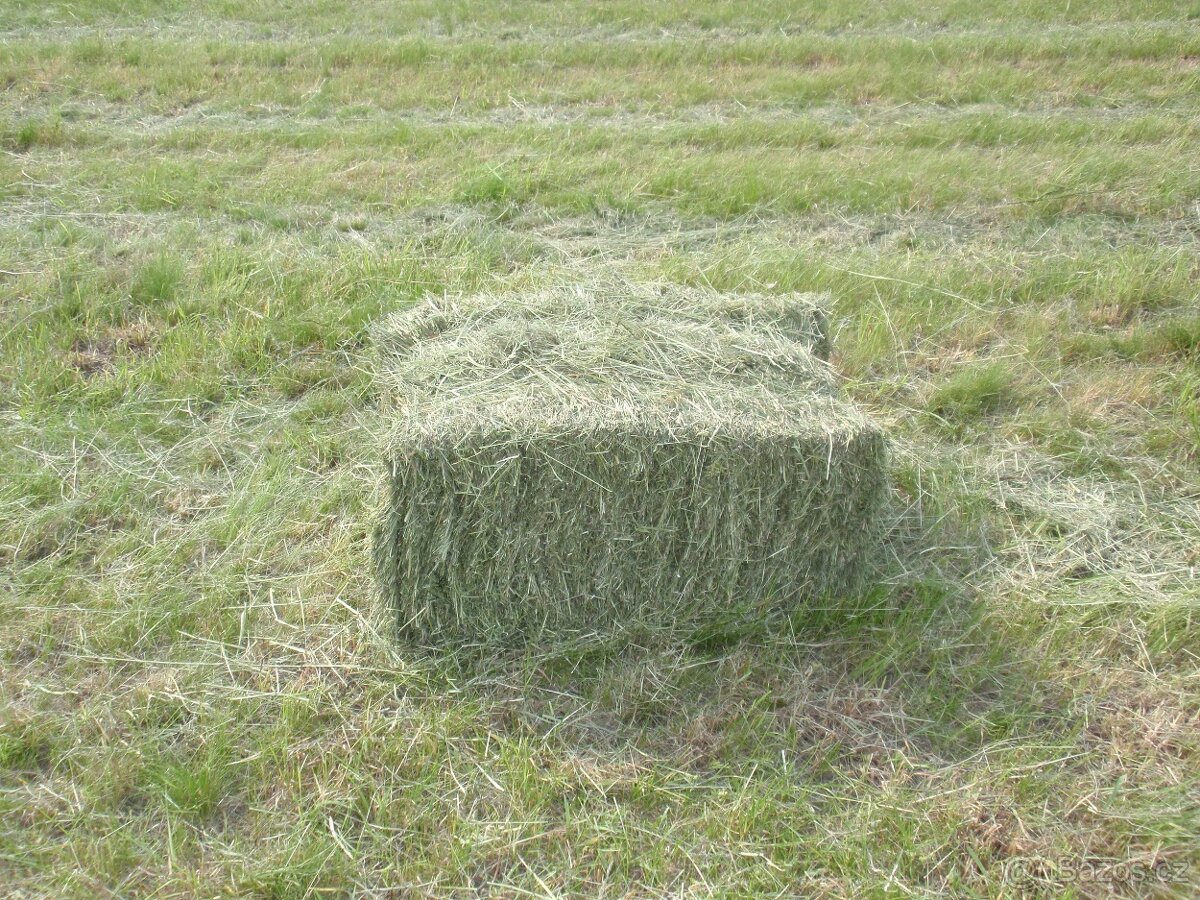 Seno, malé balíky