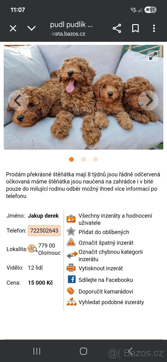 Pudl podvodníci ‼️‼️‼️ Stiahnuté fotky