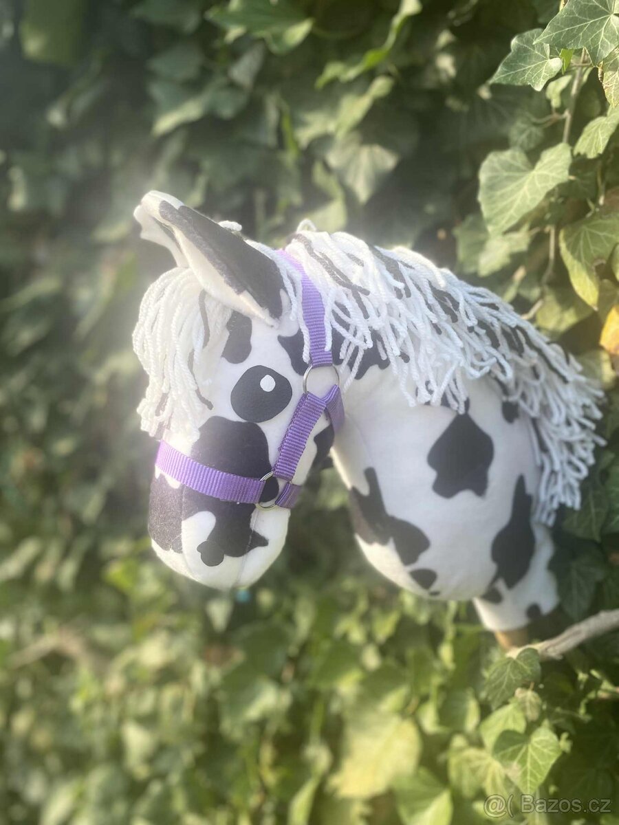 Hobby horse