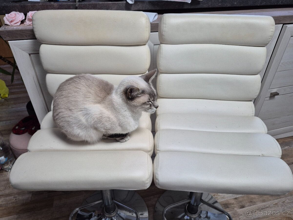 Bílé kožené barové židle barovky