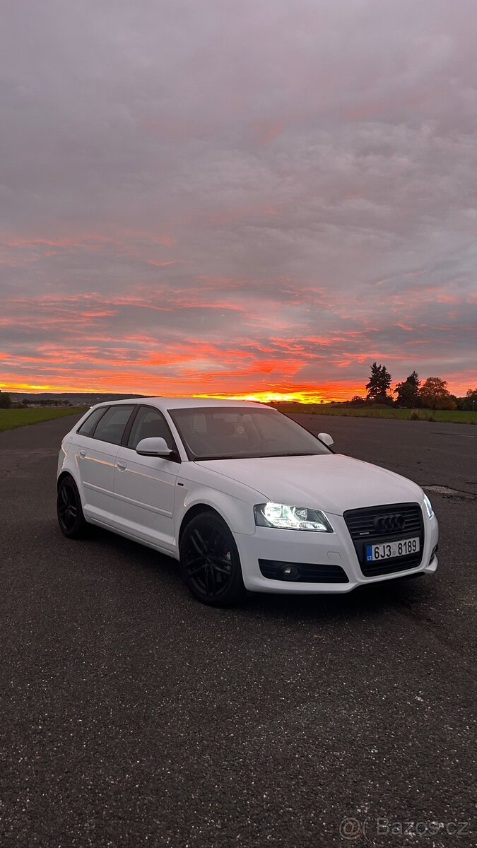 Audi A3 8p 125 kw TDI Quattro