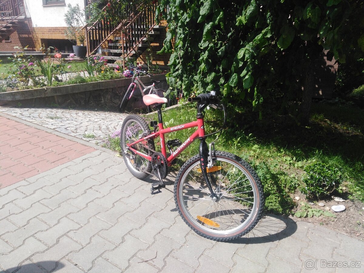 Dětské kolo 20