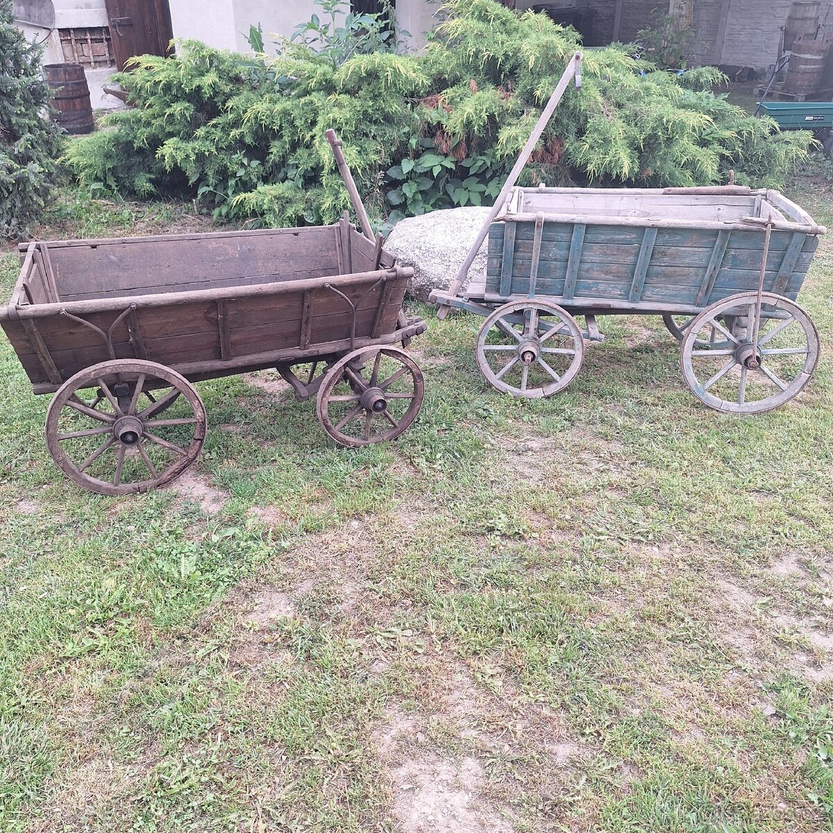 Žebřiňák, bedňák
