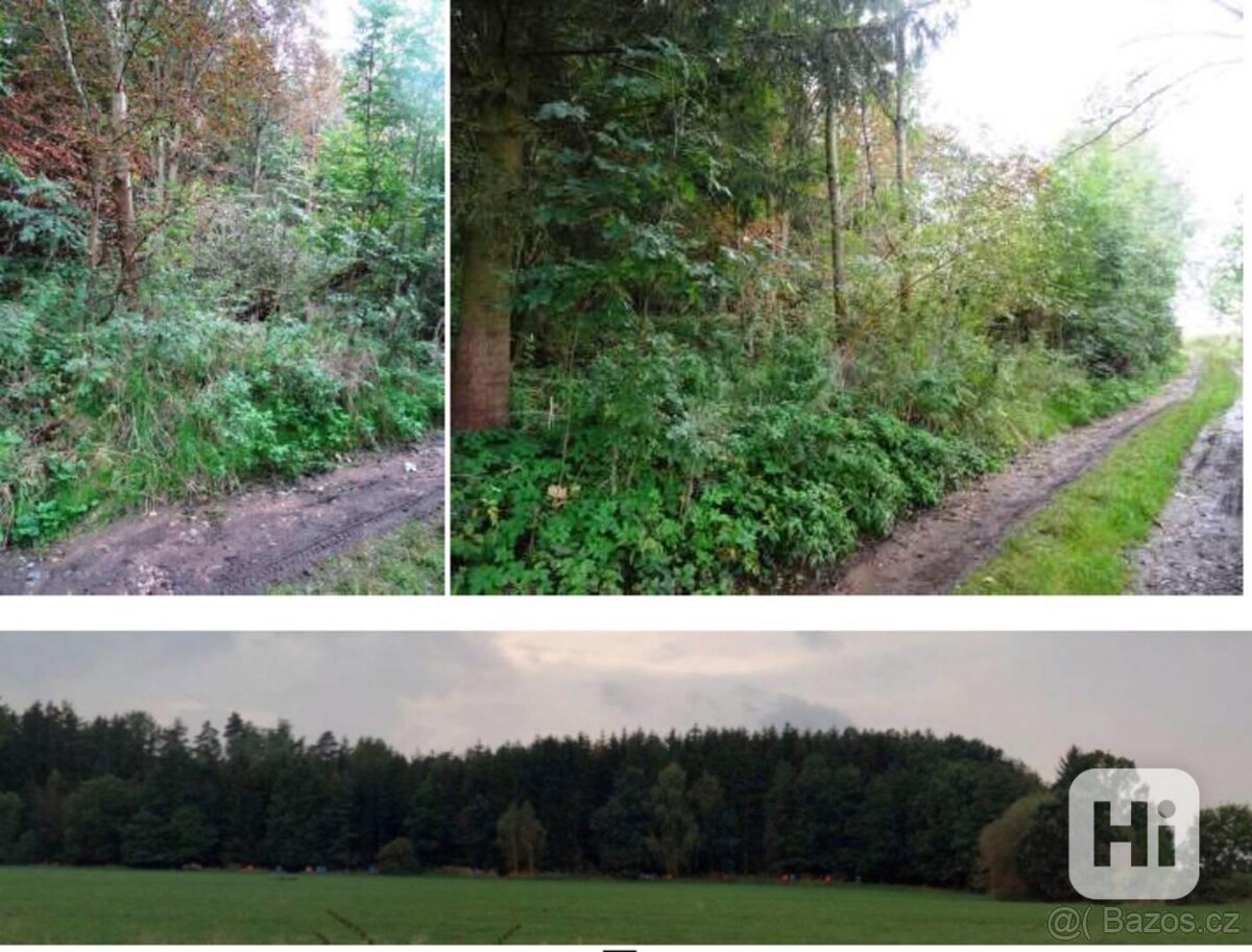 Prodej pozemku – KSPL 56 INS 7554/2021