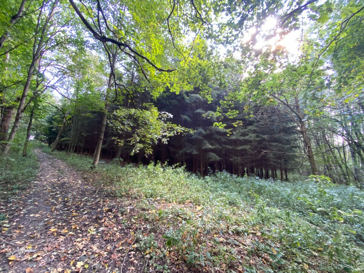 Lesní pozemek a pozemek ostatní plocha Horní Lánov