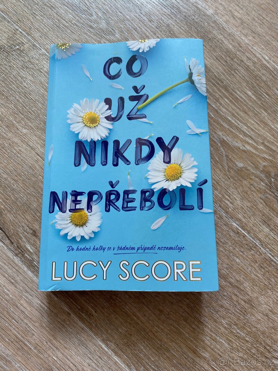 Kniha - Co už nikdy nepřebolí