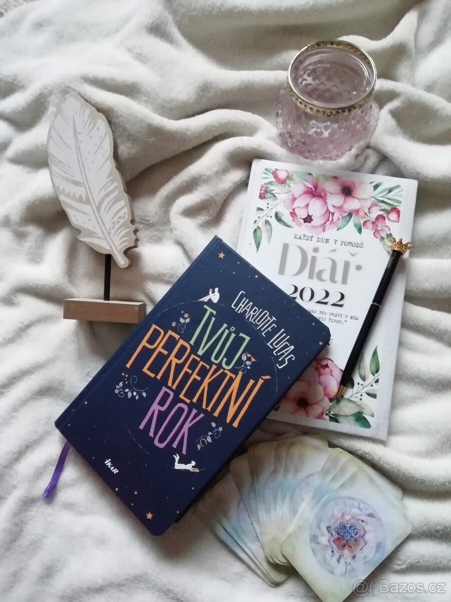 Tvůj perfektní rok - Charlotte Lucas