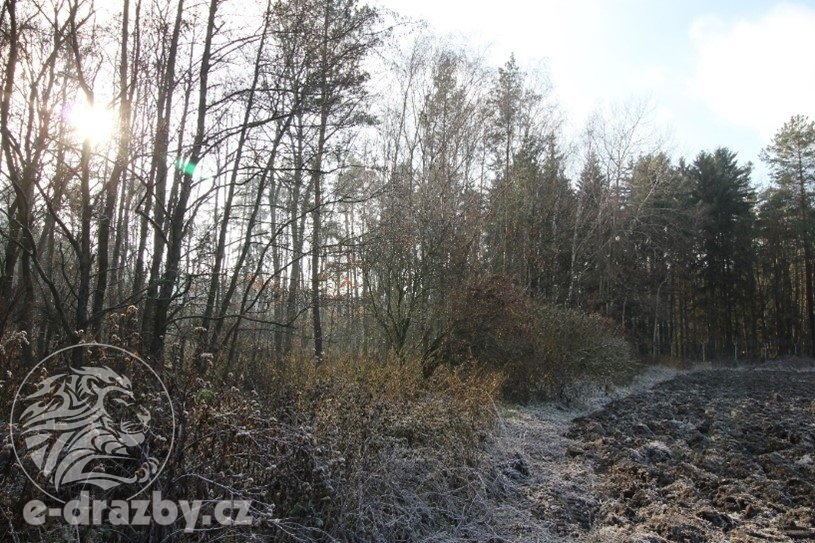 Lesního pozemku, podíl 1/12, k.ú. Týniště nad Orlicí, okr.: