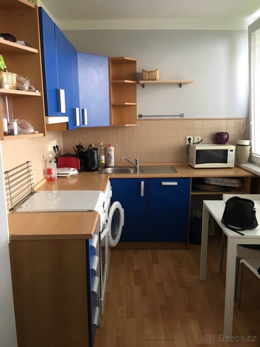 Byt 1+1 Kolín