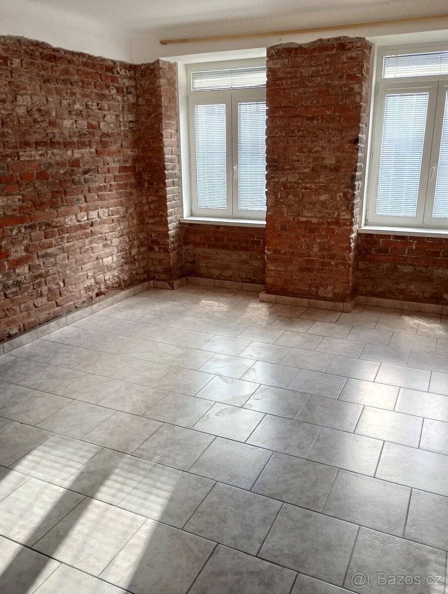 Pronájem bytu 3+kk - přízemí