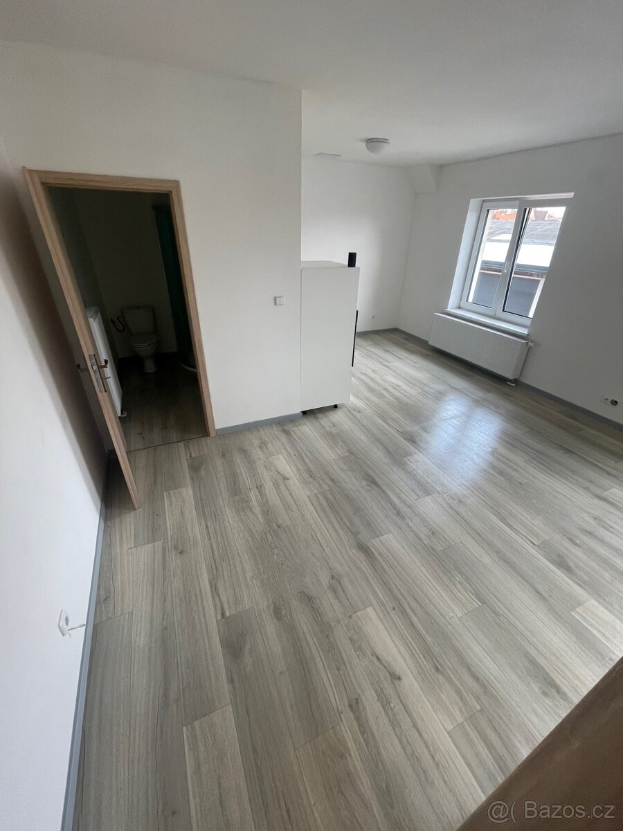 Pronájem 1+kk Trhové Sviny