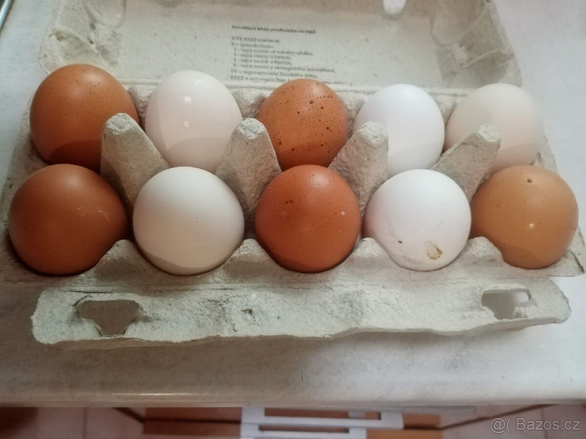 Prodáme domácí vejce