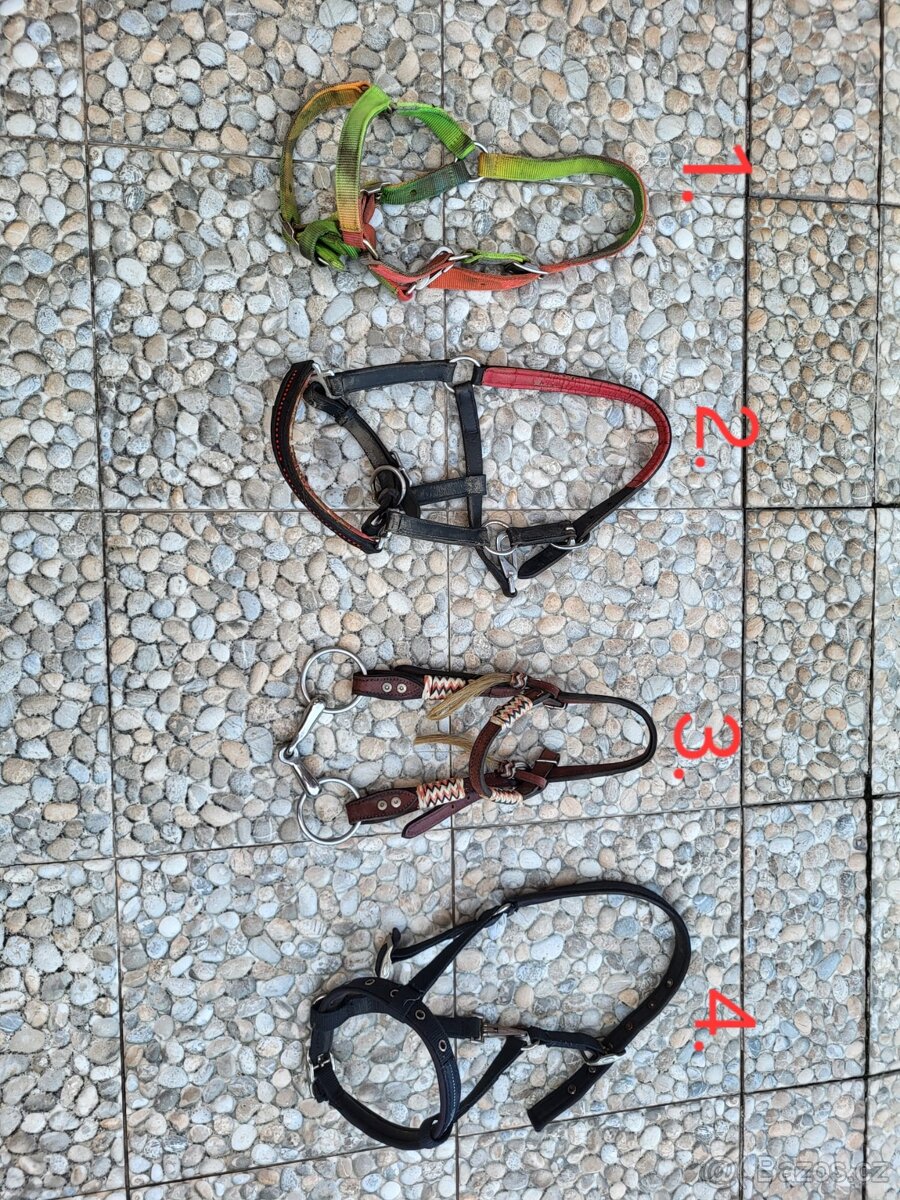 Ohlávka, uzdečka.....
