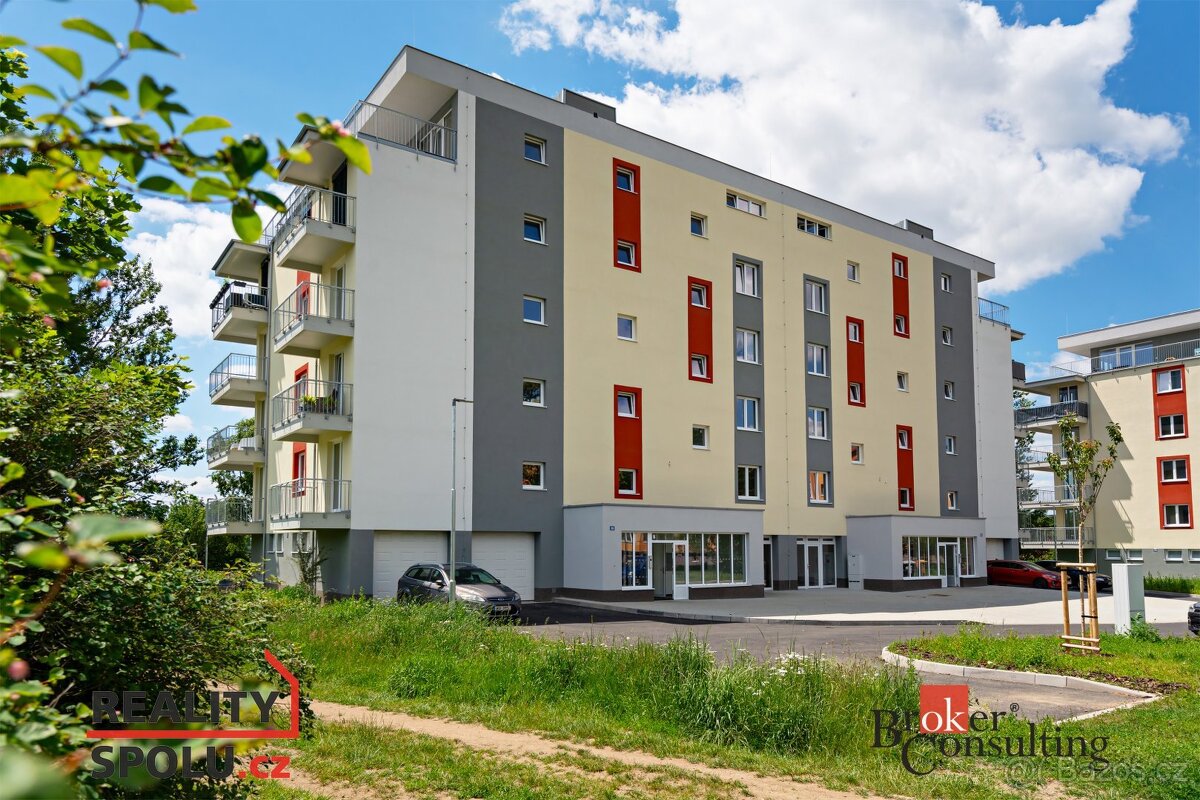 Prodej, byty/1+1, 39 m2, Svobodova 385, 36225 Nová Role, Kar