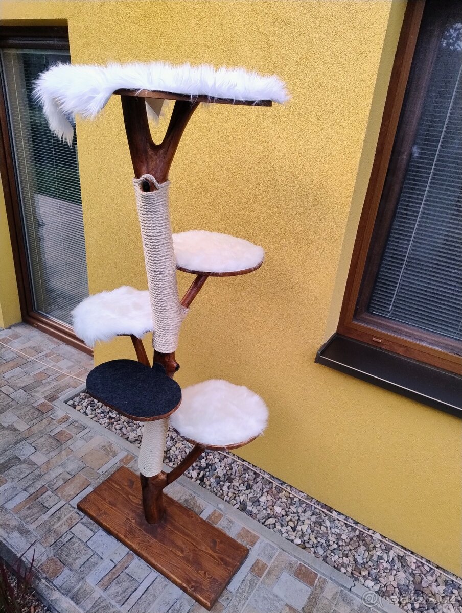 Kočičí strom