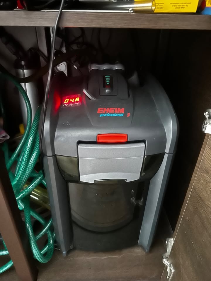 Prodám zařízené akvárium