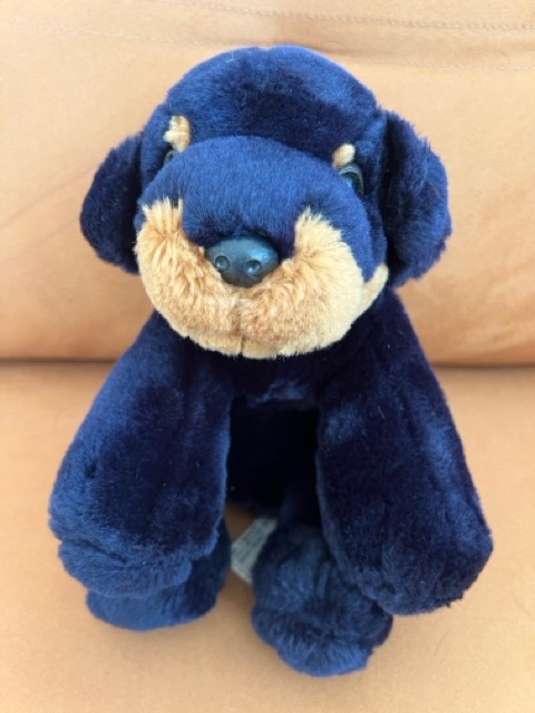 Plyšová hračka – pejsek modrý