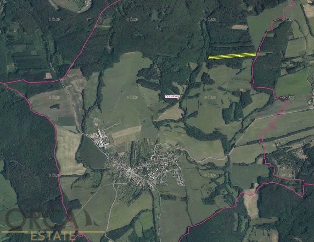 Aukce 0,52 ha lesních pozemků v k.ú. Doubravy