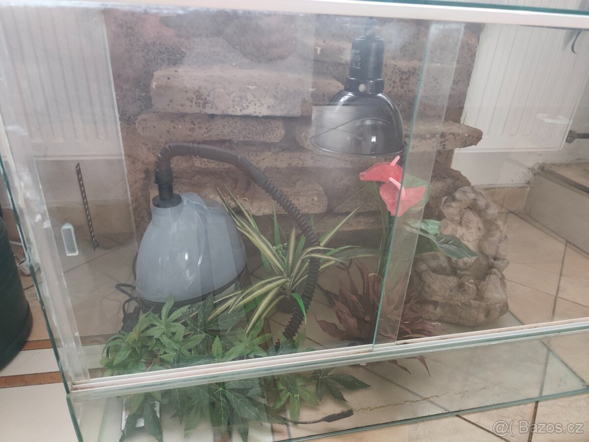 Terarium