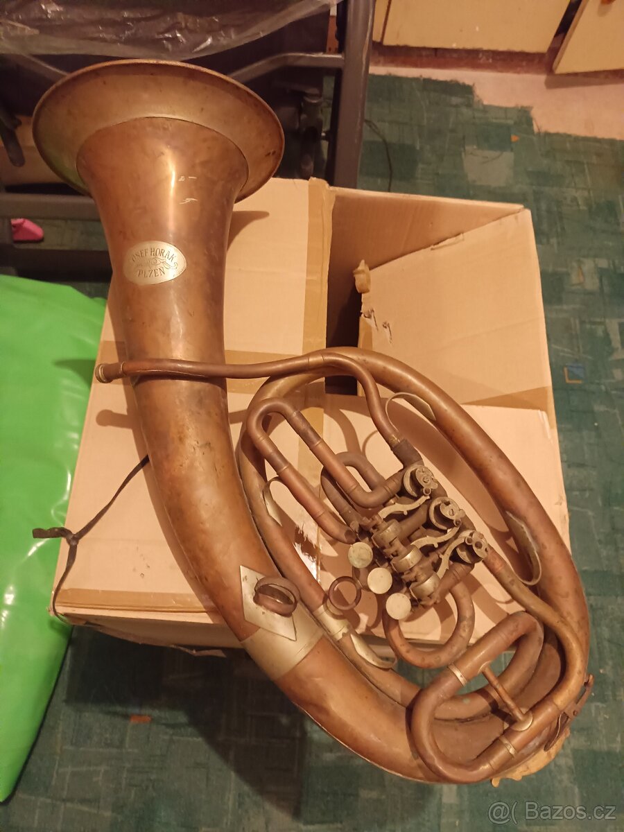 Baskřídlovka - Josef Horák