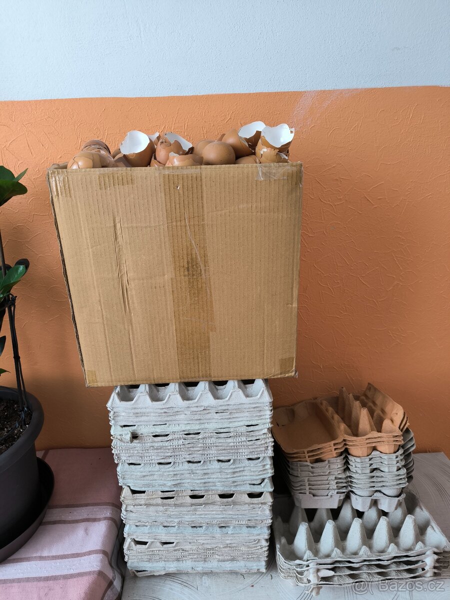 Plata a obaly na vajíčka+velká krabice suchých skořápek